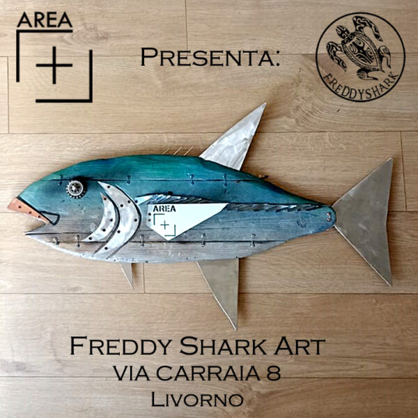 Freddy Shark Art